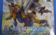 HG RX-105 Xi Gundoom - Out of Box